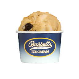 [BASS053] Bassett's S'mores Ice Cream