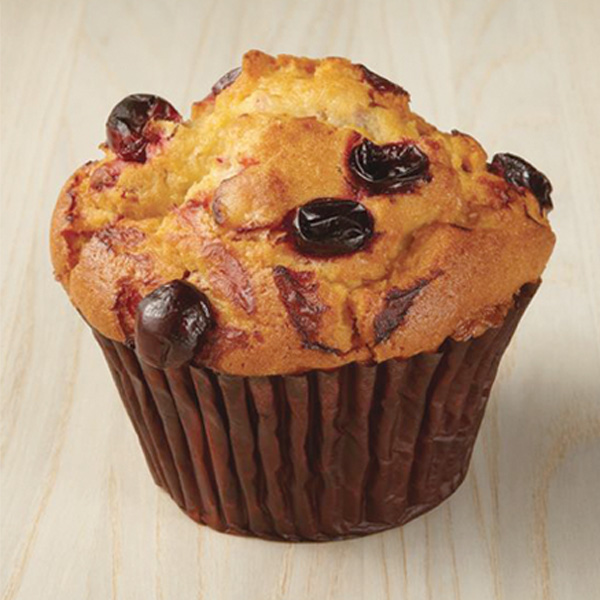 Cranberry Orange Yogurt Muffin