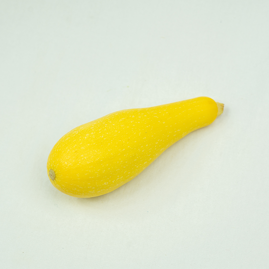 Yellow Squash - Medium