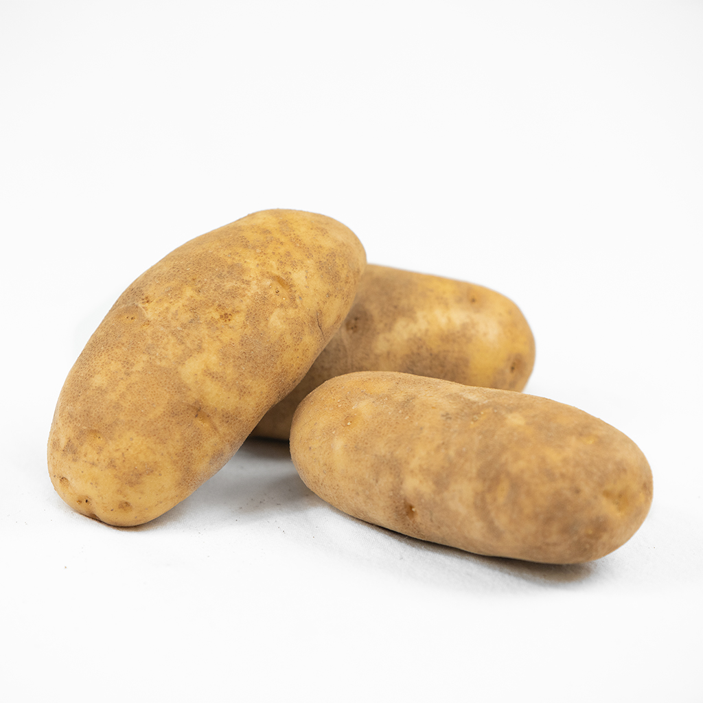 Idaho Potato